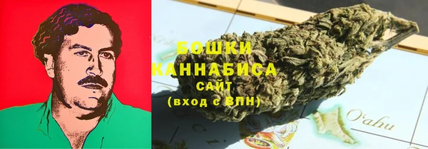 бошки Бородино