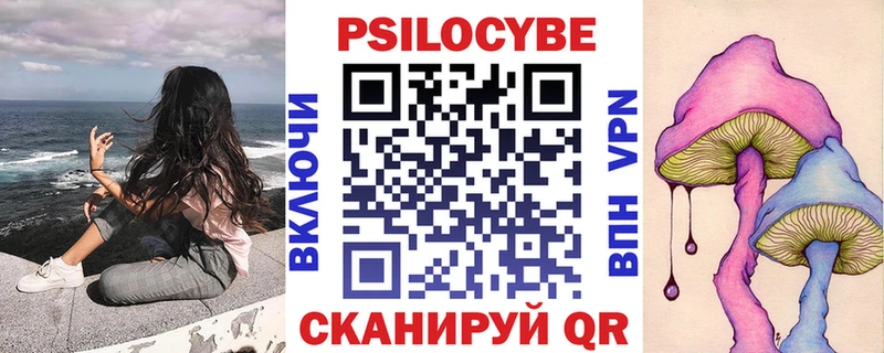 где можно купить наркотик  Вельск  Галлюциногенные грибы Cubensis 